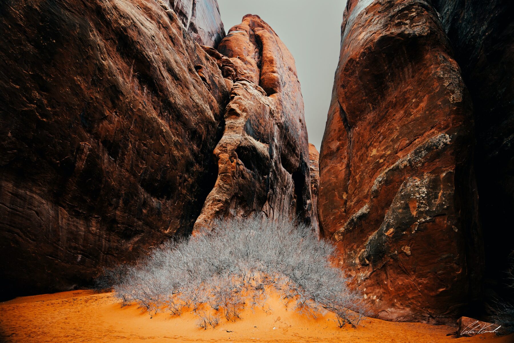 Red sandstone canyon and desert brush
