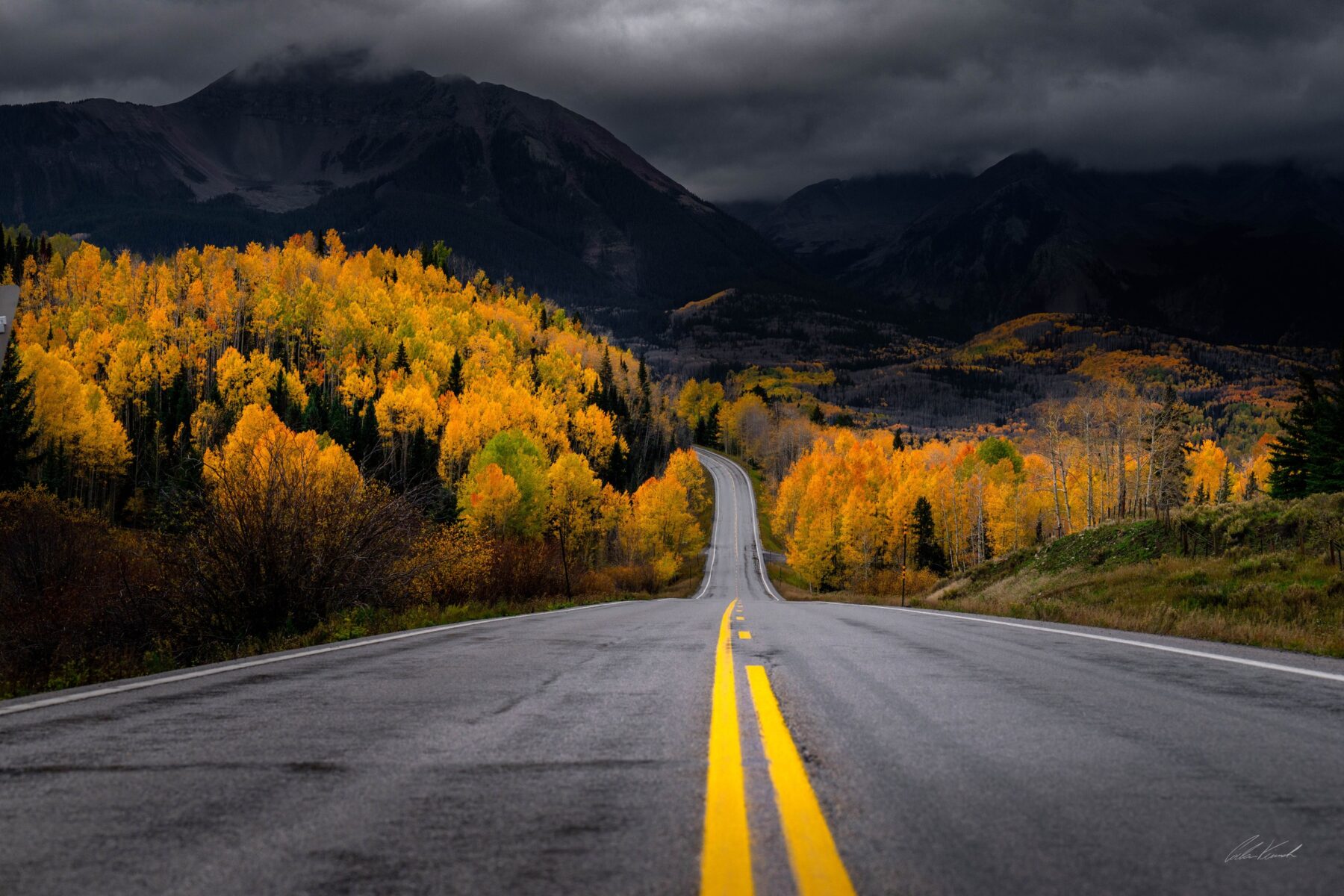 A Colorado mountain road through golden fall aspens